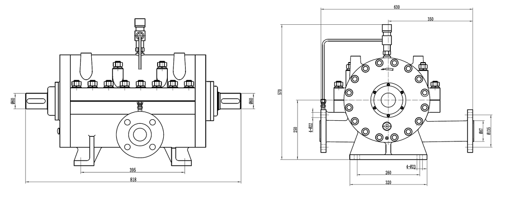HS65多相混输泵外形图A